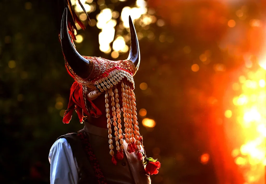 Tribal experience Ilika